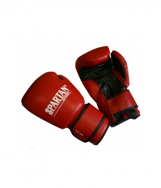 Boxhandschuhe SPARTAN 