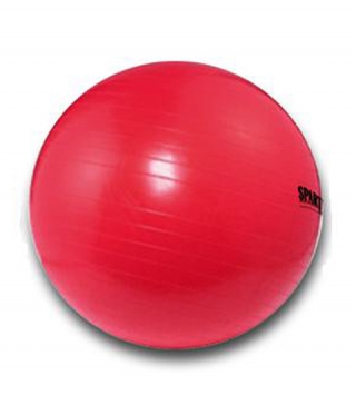 Power Gymnastikball SPARTAN 95 cm